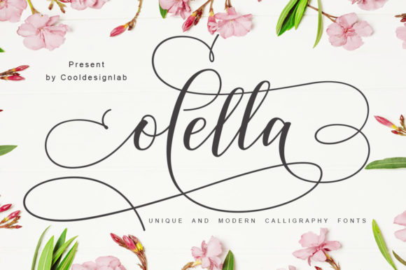 Elevate Your Web Design with the Olella Typeface