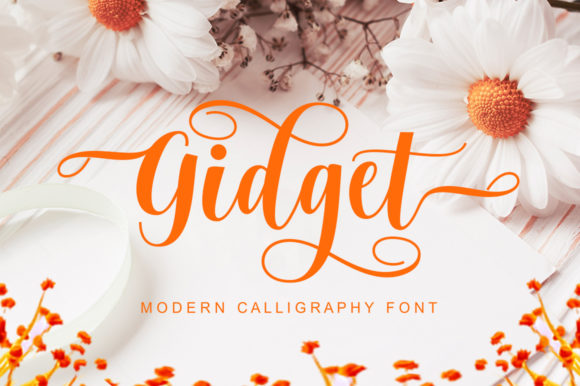 Gidget: The Script Font That Elevates Your Brand Identity