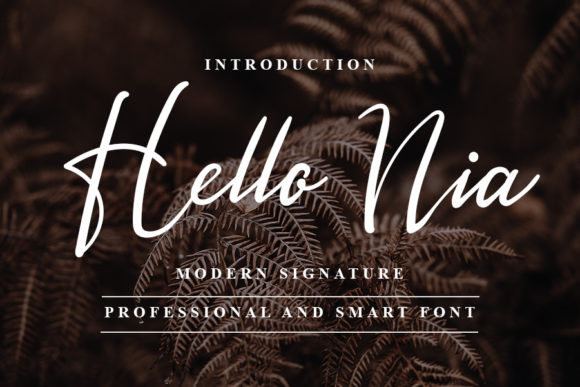 Hello Nia Font Review: A Delicate Script for Branding
