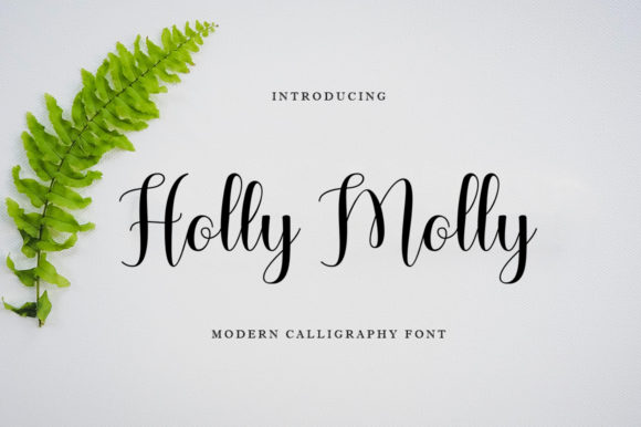 Holly Molly Font Review: Elevating Campaign Visuals